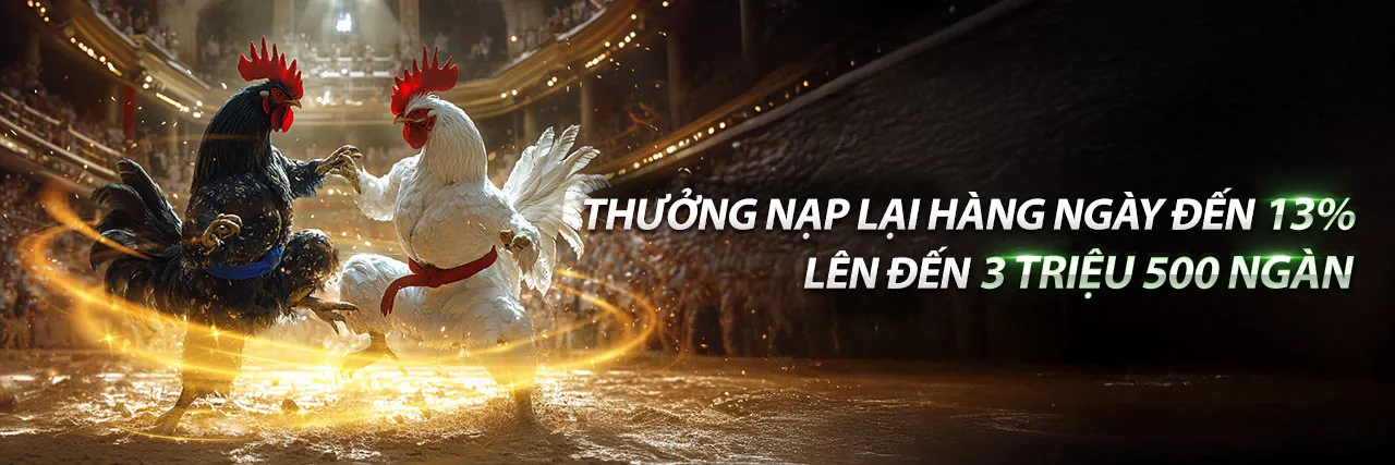 Đá gà trực tuyến kịch tính tại Vaobong88