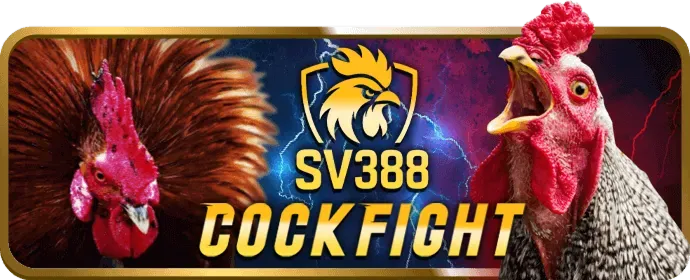 Thưởng chào mừng Vaobong88