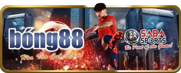 Hoàn trả mỗi ngày Vaobong88